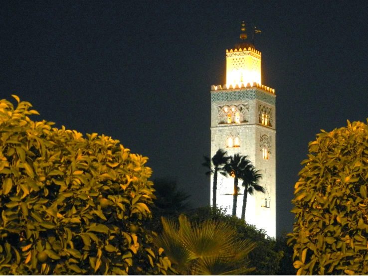 the tall clock tower lit up at night