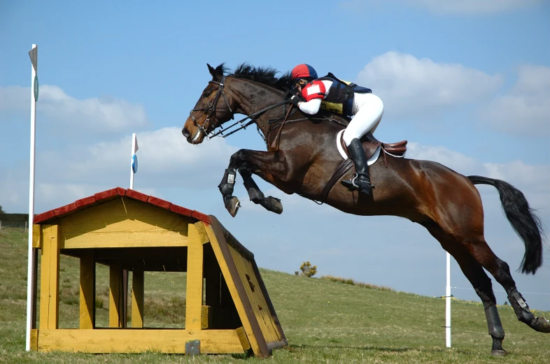 a rider on a horse jumping over a jump