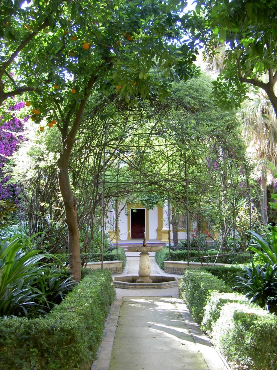 a courtyard with trees, bushes and a fountain
