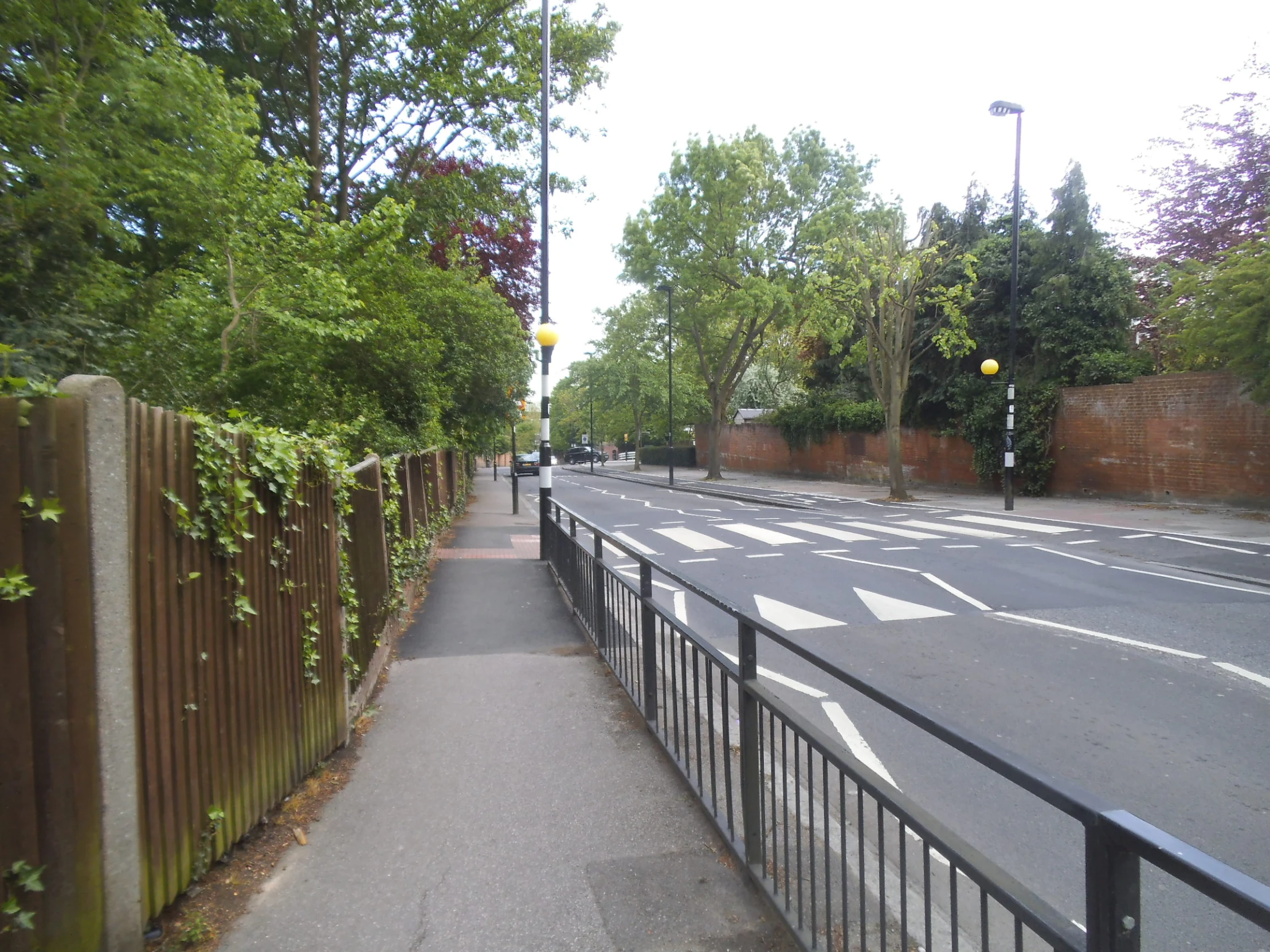 the view down the street from a walkway near trees