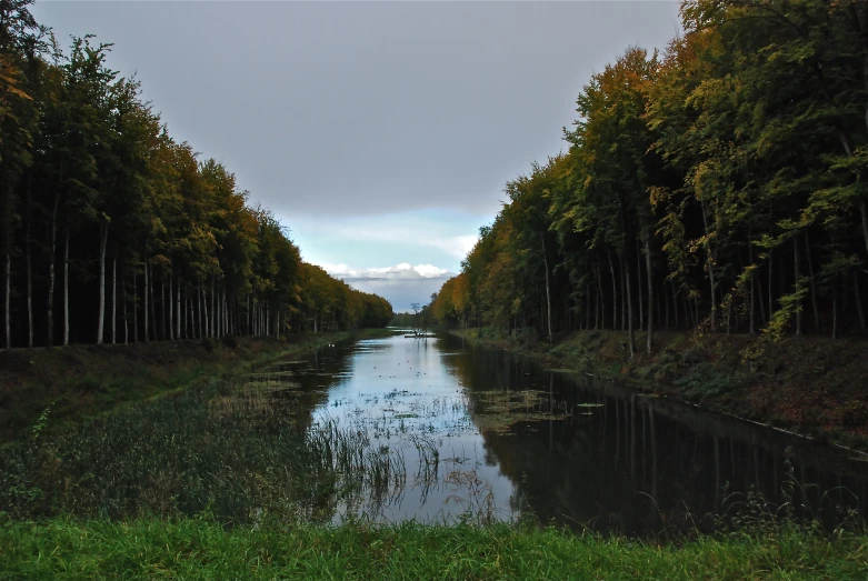 an empty river surrounded by trees with reflection in the water