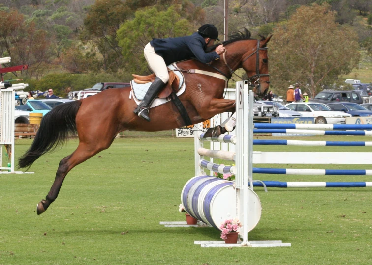 a woman on a horse that is jumping over a hurdle