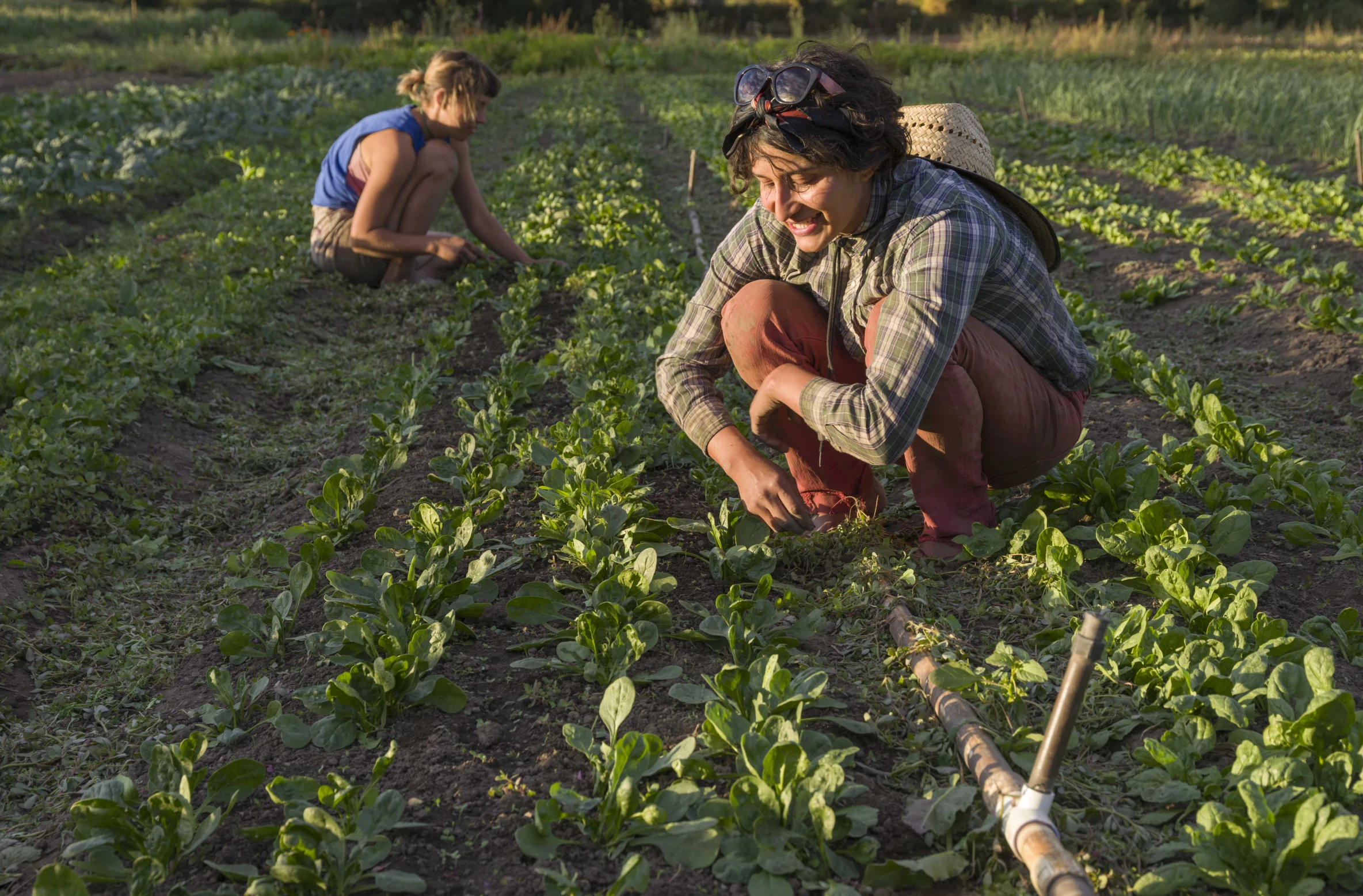 two people on the ground working in a field