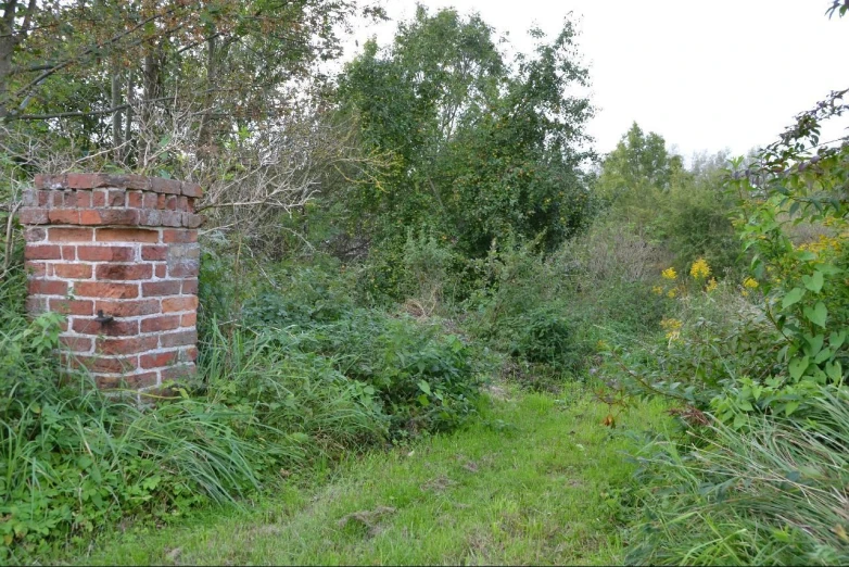 a brick fence that is surrounded by brush