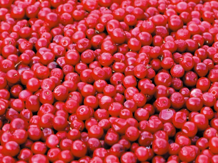 some watermelon seeds are seen here for display