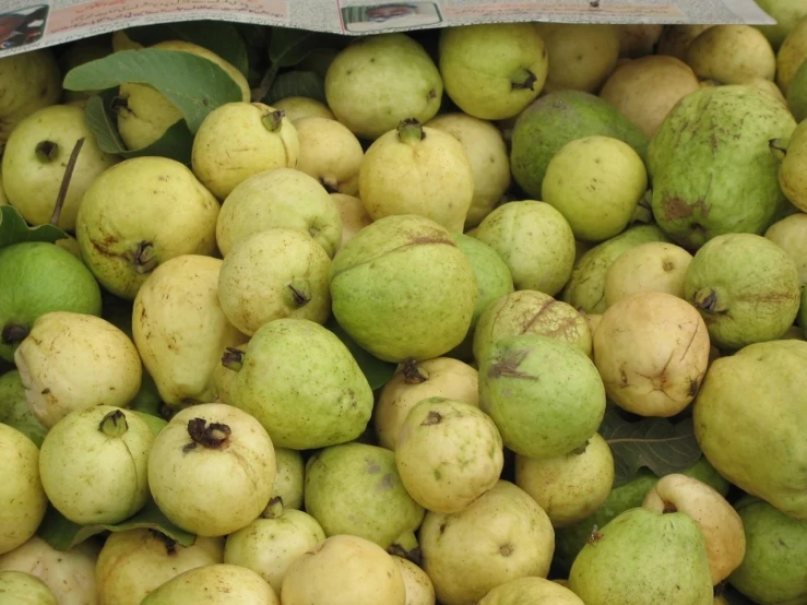 a pile of pears that are under a newspaper