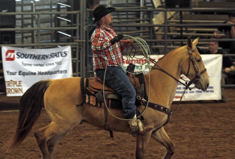 cowboy in red and white shirt riding brown horse