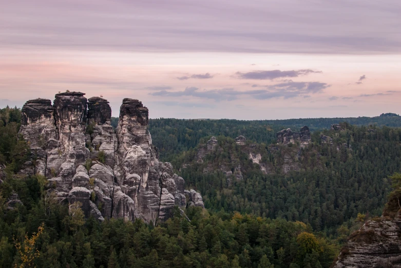 some rocks and trees are on the mountain