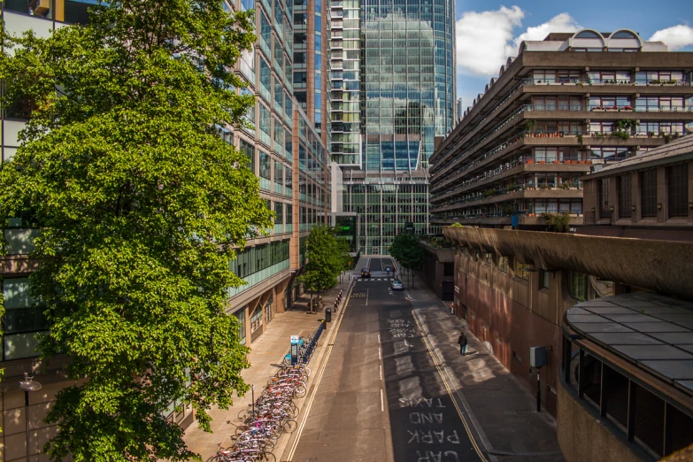 a narrow road surrounded by tall buildings and green trees