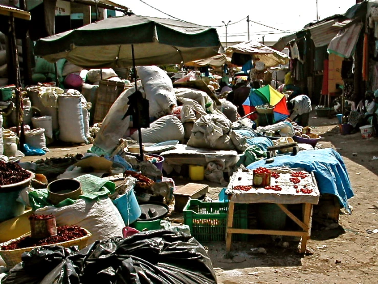 the dirt is littered with food and bags