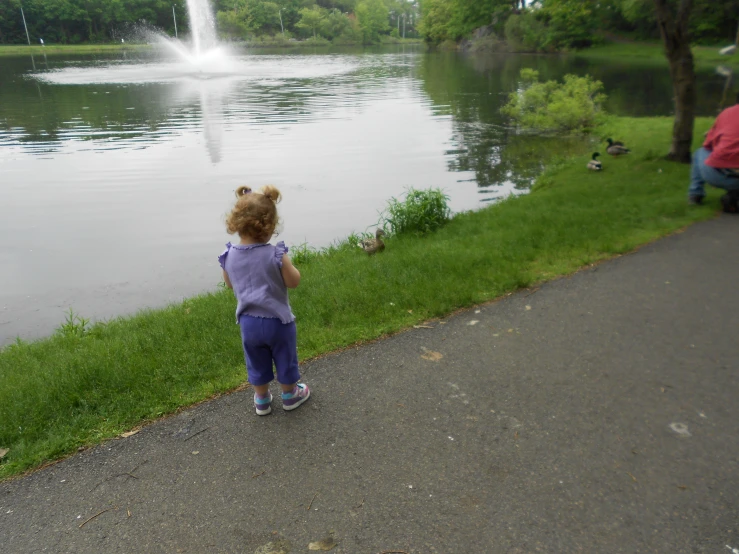 small child with blond hair watching birds near the water