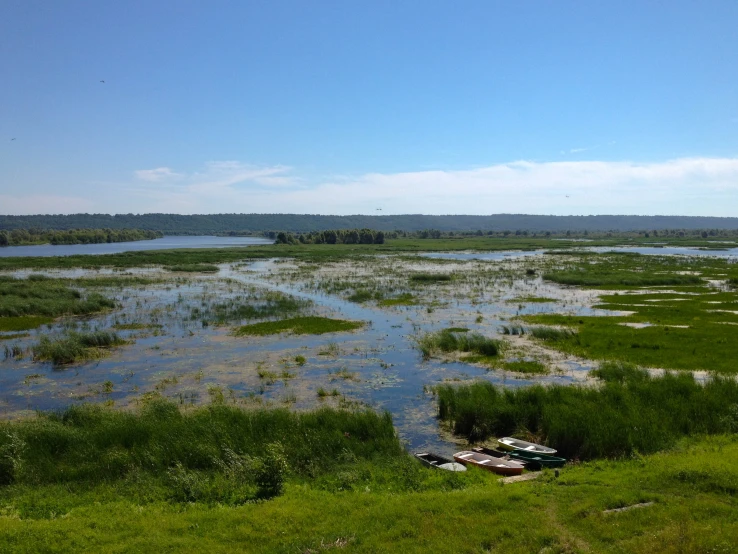 small boats docked at the edge of a marshy shore