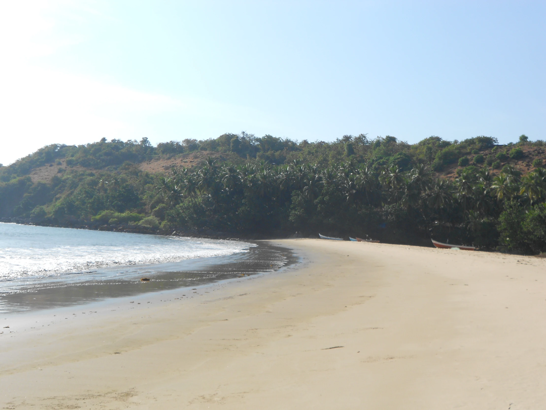 a beach is shown in front of an area that has no grass