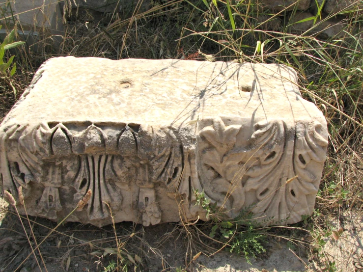 a stone object with designs in the middle and bushes surrounding it