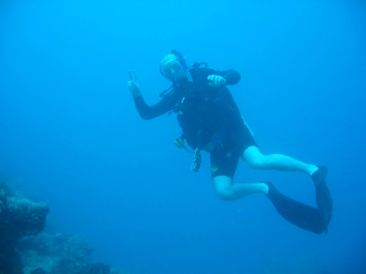 a person in the water scubas through some coral