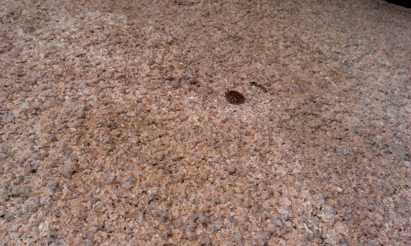 a piece of brown material is sitting in the sand