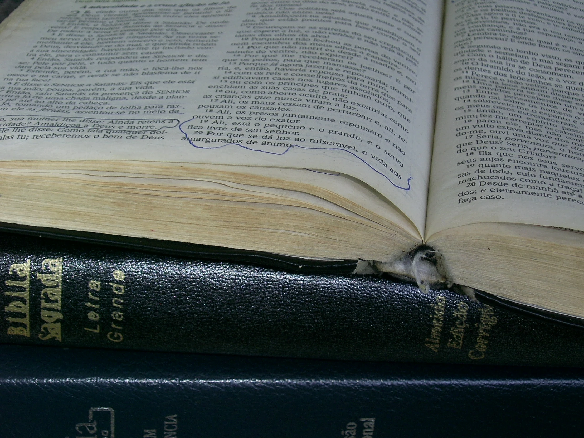 an open book on top of the two books