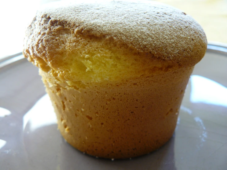 a close up s of a small sugar covered muffin