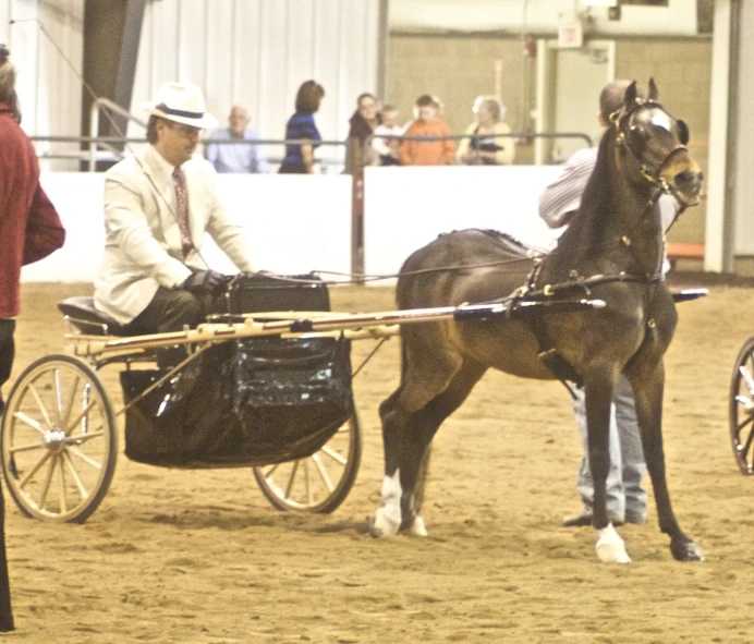 a man sitting on a horse drawn carriage