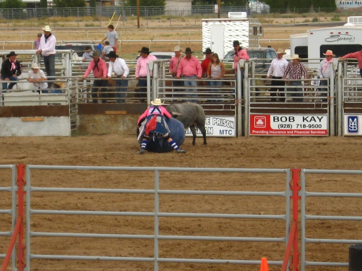 a person is in an enclosure and getting ready to wrestle a cow