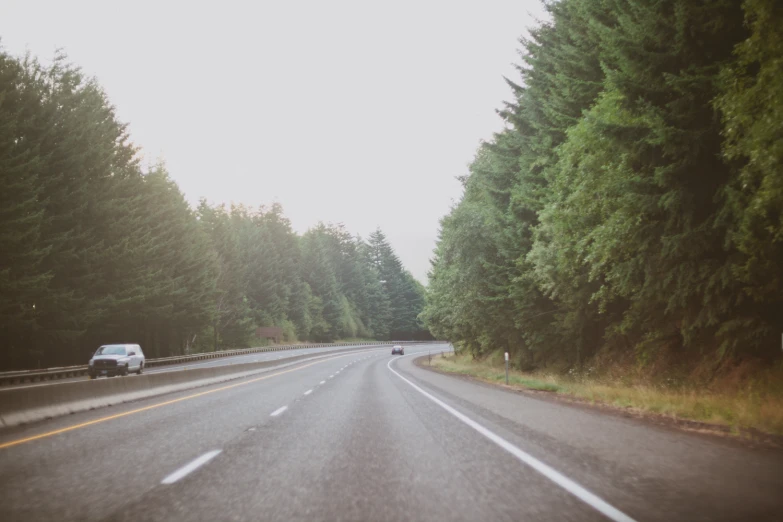 car driving on the road through a forrest