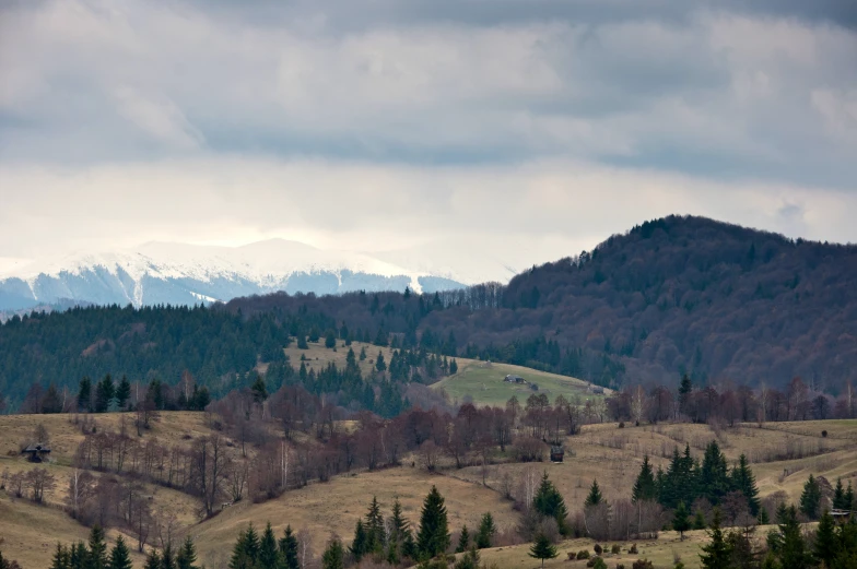 a large mountain covered in trees under a cloudy sky