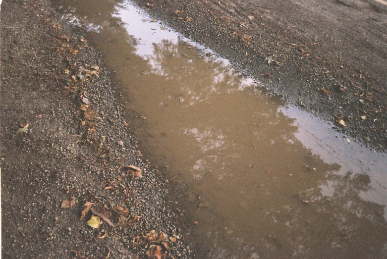 a dle filled with water next to an umbrella and trees