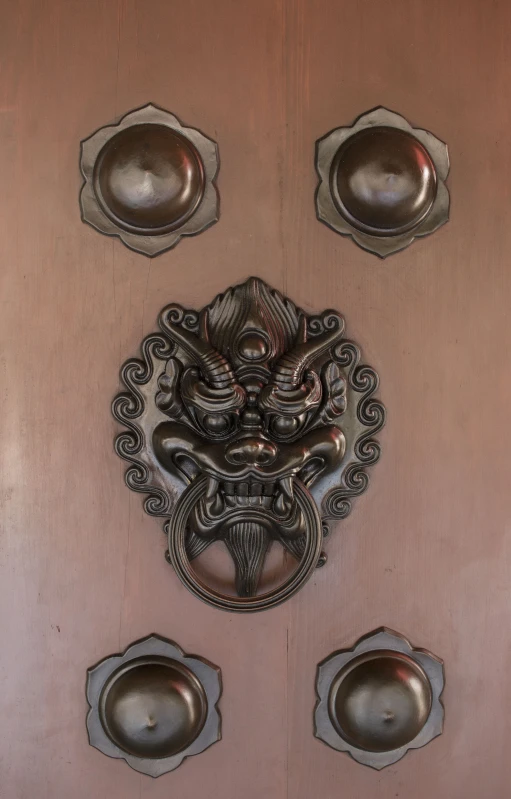 a door with ornate decoration and ons on it