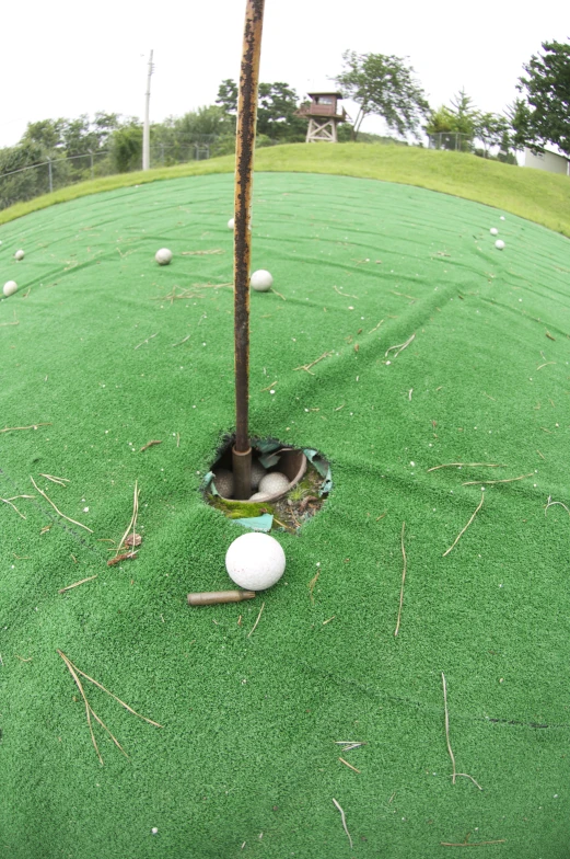 a golf club with a white ball in the grass