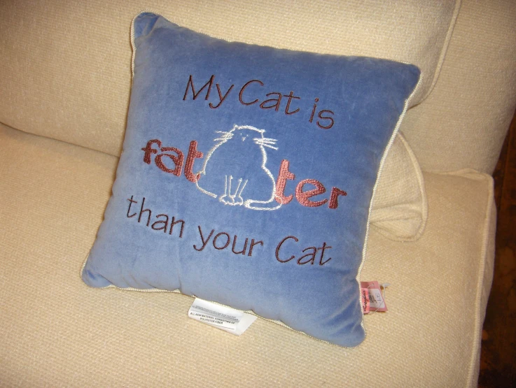 a cushion on a couch is decorated with a cat and the words my cats failed