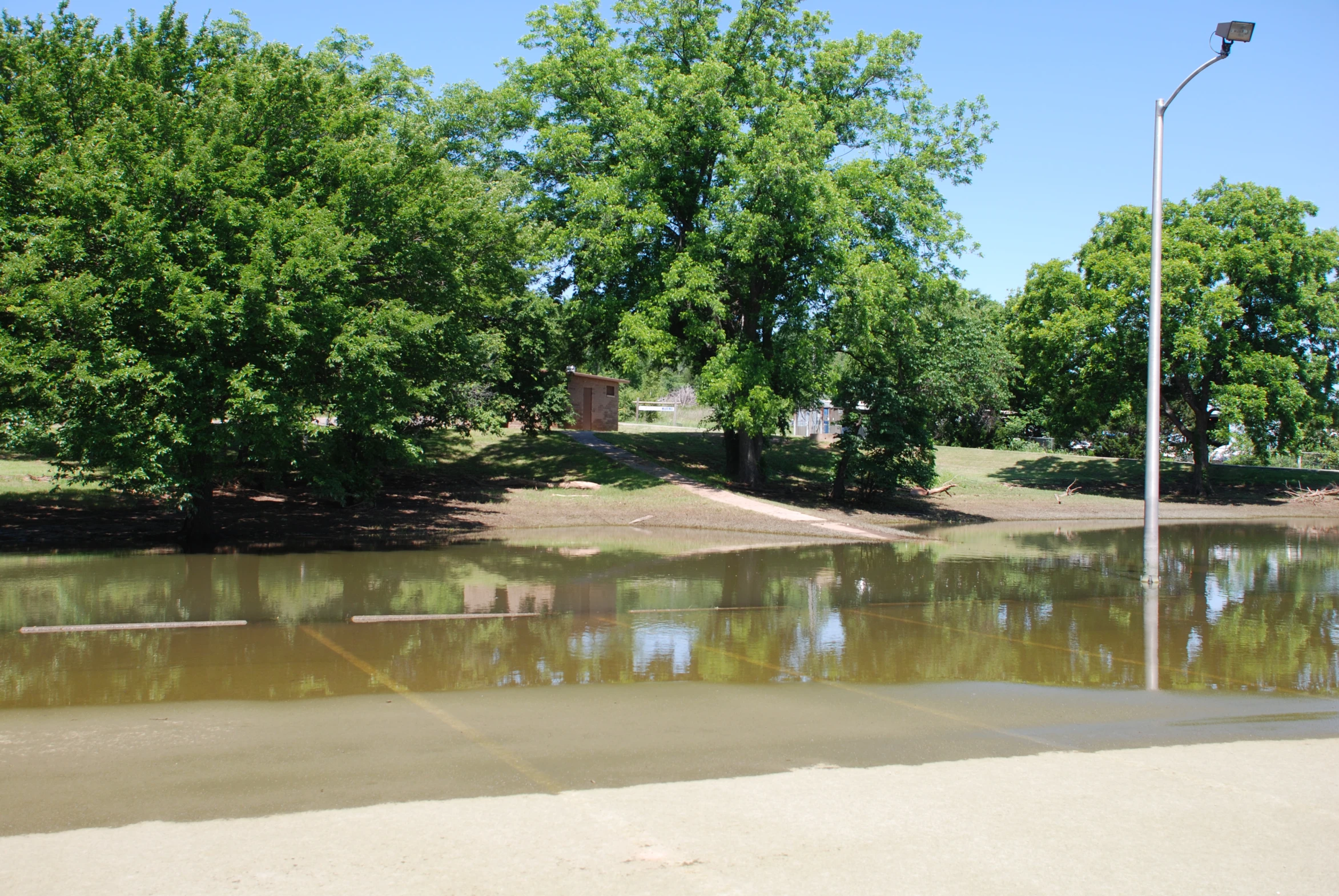 water surrounding the trees has a few little dles of water on it