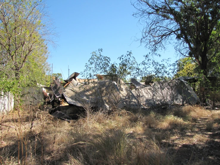 an abandoned car sitting in the grass next to trees