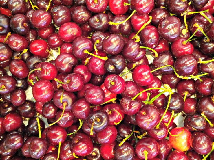 there are many cherries that are in the basket