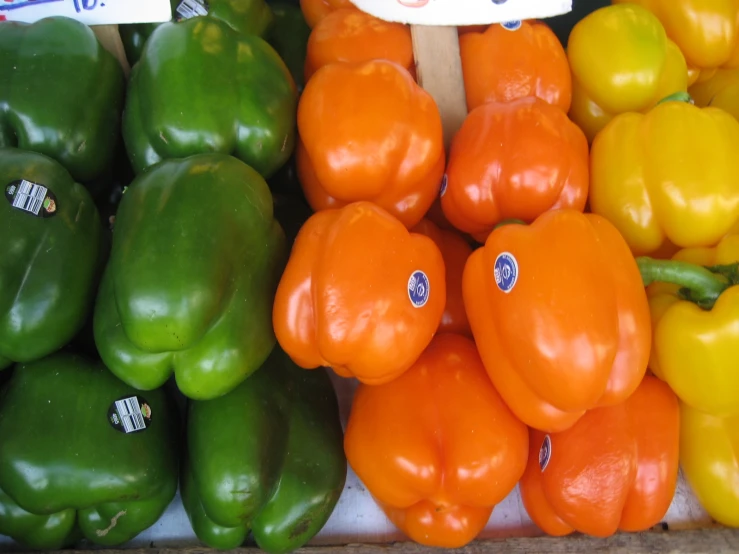 peppers sitting in rows near each other on display