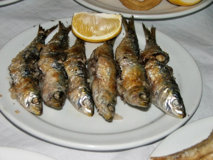 fish are displayed on a plate with lemon