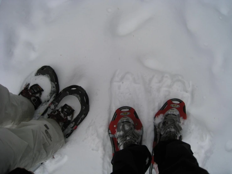 pair of feet wearing skis standing in the snow