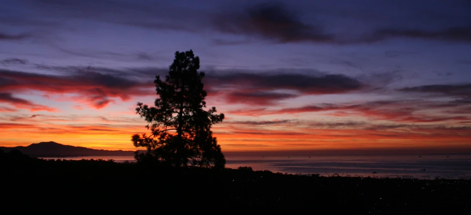 a view of a sunset and some trees and the water