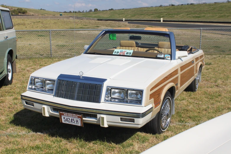 a car parked by a fence on grass