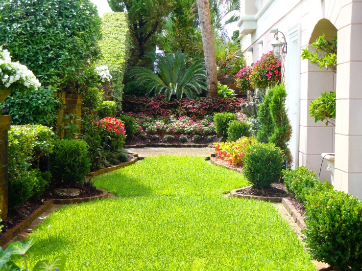 this is a green backyard with several flowers in it