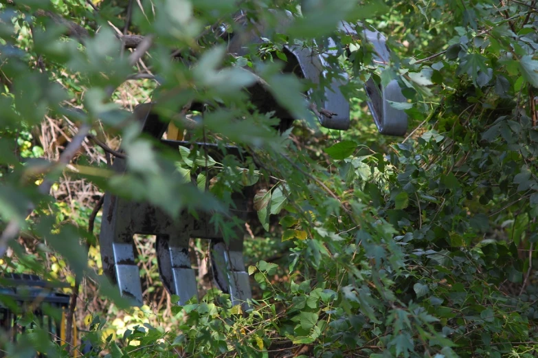 there are broken metal chairs in a forest