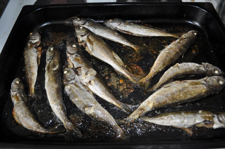 fish in an iron pan cooking on an oven