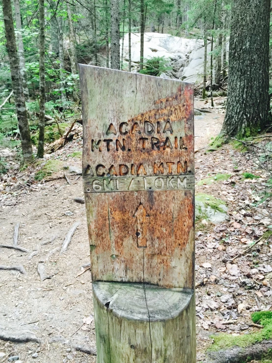 an old wooden sign is posted in a forest