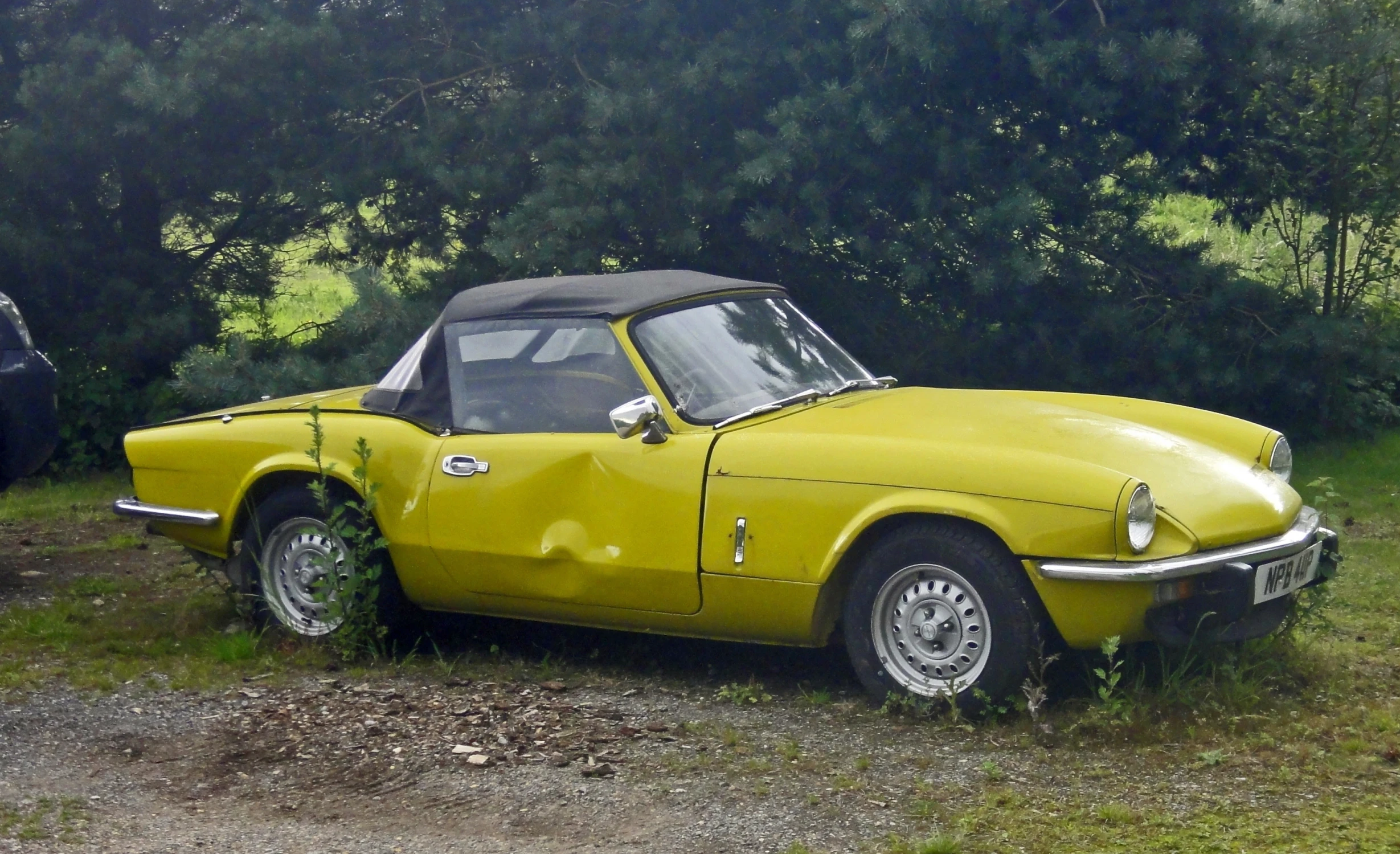 the old yellow sports car is parked by the woods