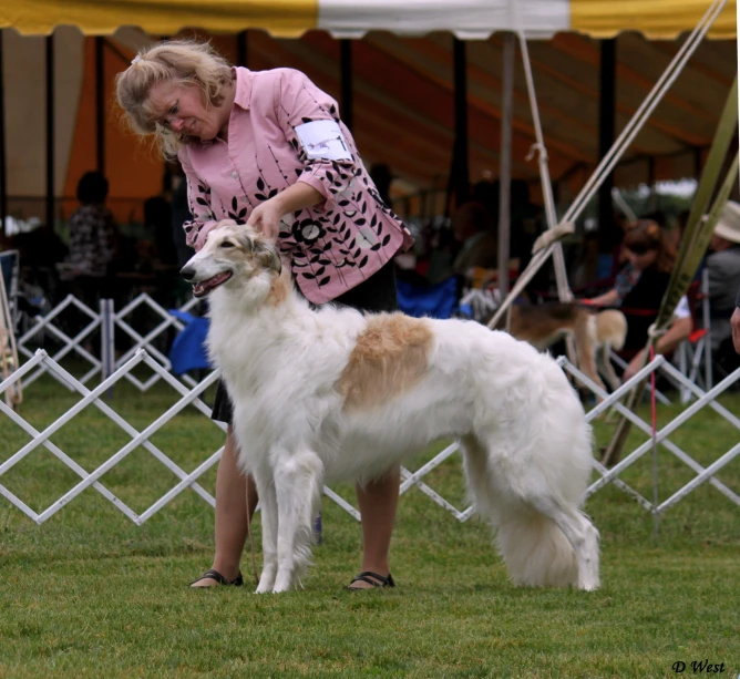 a woman holds a dog in her hands at a dog show