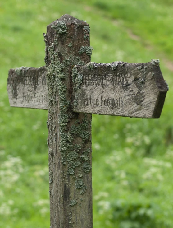 a cross in the grass with a lot of green moss growing on it