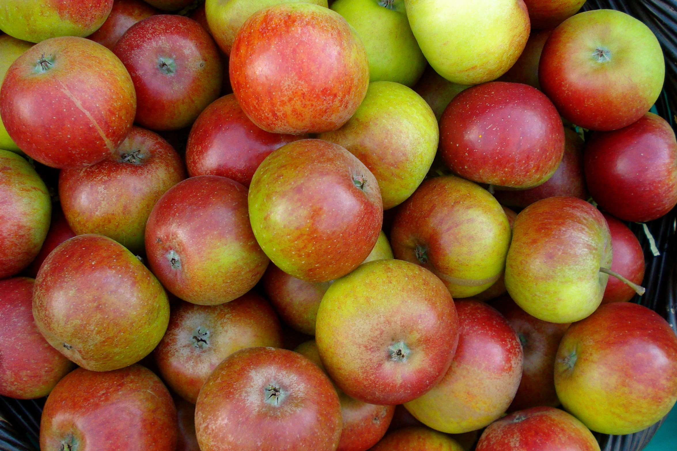 a wicker basket full of apples, the one is red and yellow