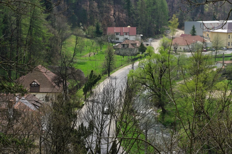 village houses nestled among trees near a river