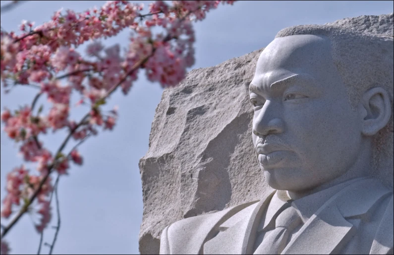 a statue of a man is near a rock