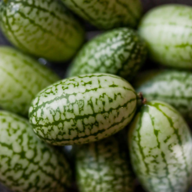 green and white gourds in a pile together