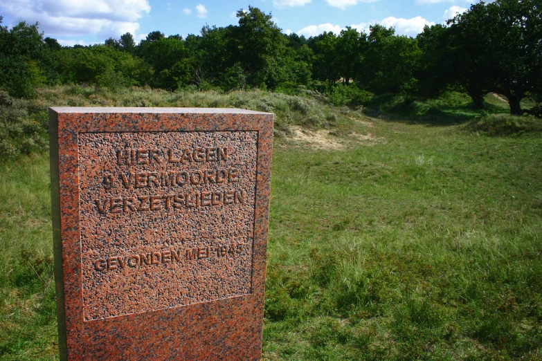 an intricately carved sign in the grass by a grassy field